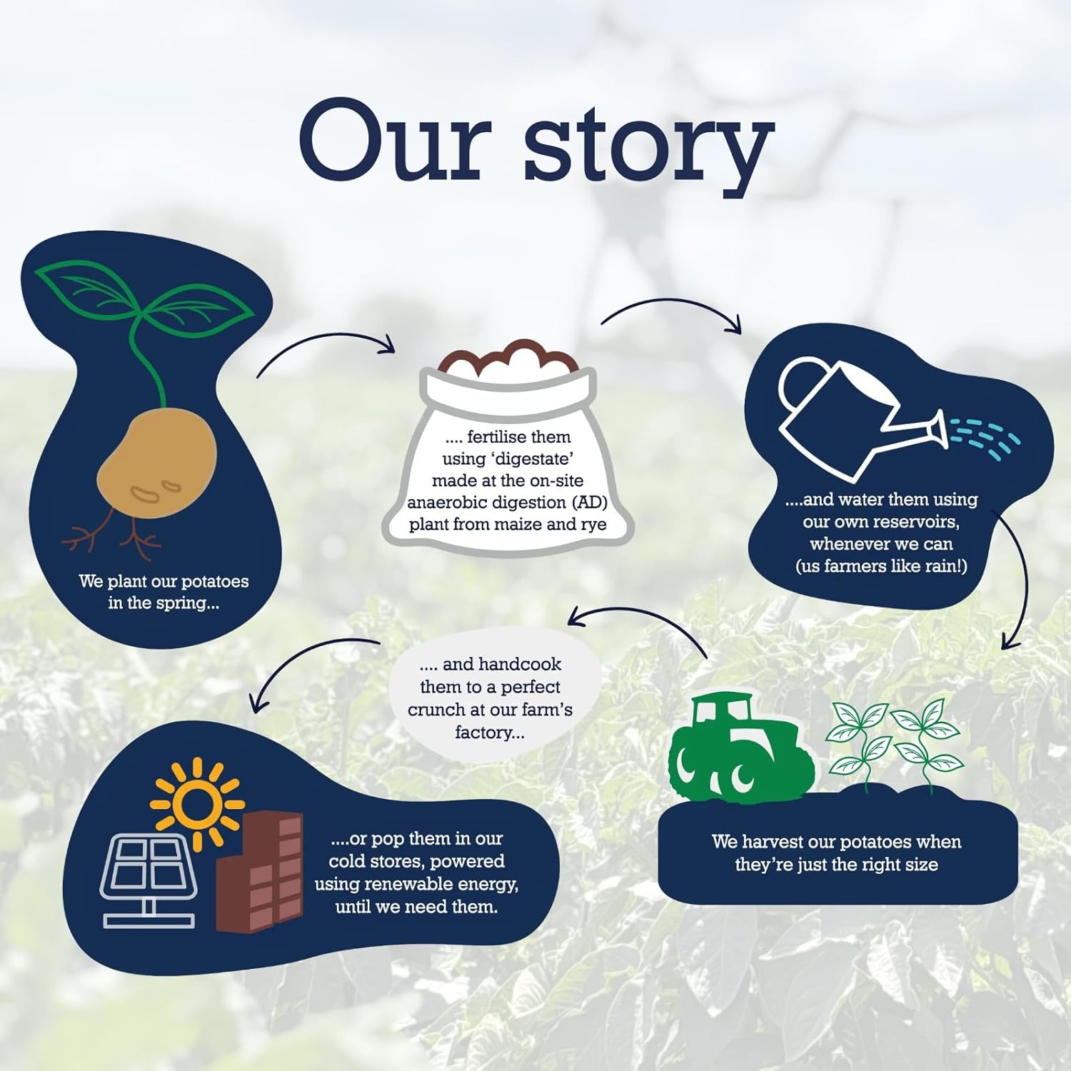 Fairfields Farm Lightly Sea Salted Crisps 150g